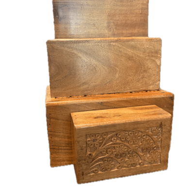 Standard Tree of Life-Acacia Urns